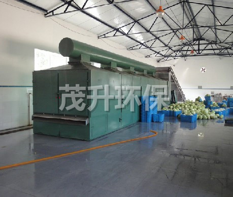 DWC系列脱水蔬菜带式干燥机