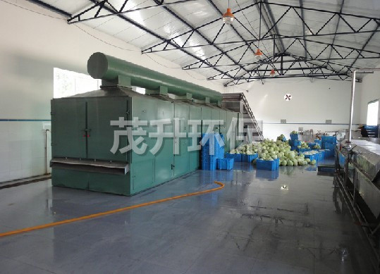 DWC系列脱水蔬菜带式干燥机